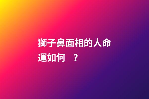 獅子鼻面相的人命運如何？